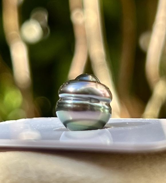 لؤلؤة تاهيتي مزروعة مصنّفة، بلمعان ممتاز، حيث تعكس درجة اللون النادرة طاووس الأزرق الفاتح ضوء البحيرات الشاطئية في بولينيزيا.