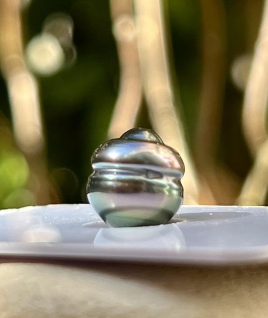 Une perle de culture de Tahiti cerclée sélection, au lustre excellent, dont la teinte rare peacock bleu clair reflète la lumière des lagons polynésiens