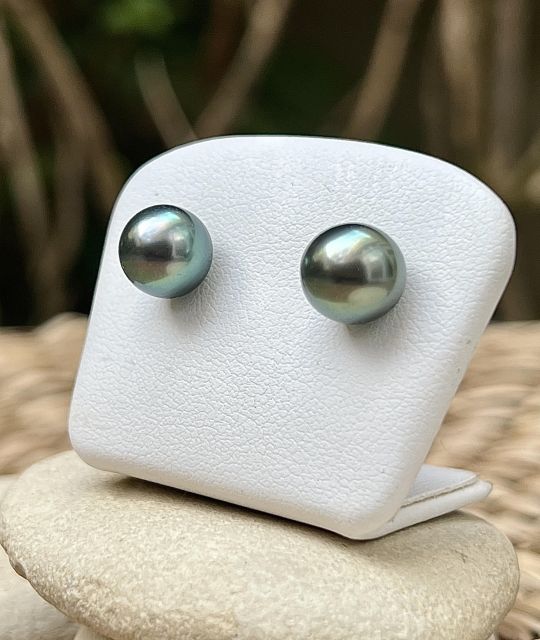 Die Ohrstecker und ihre Tahiti-Perlen aus der Lagune von Fakarava sind Einzelstücke. Das Lindgrün zeigt unübertroffene Lagunengrün-Schimmer.