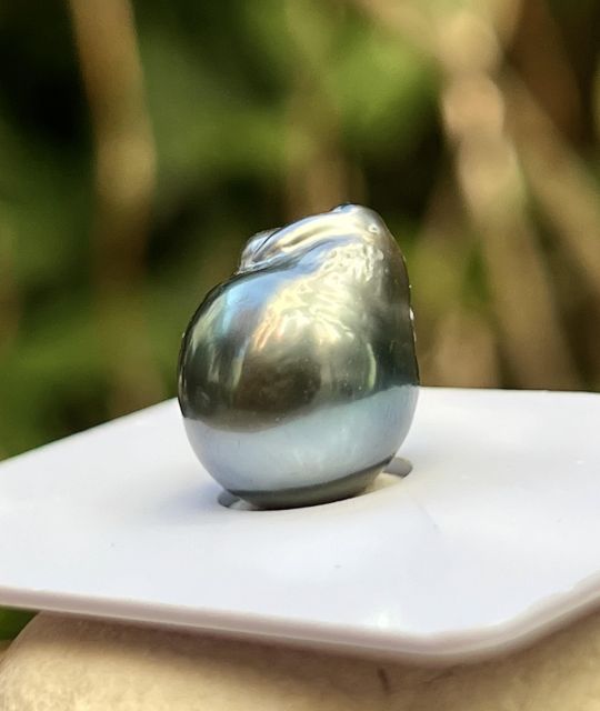 Ses trois excroissances naturelles sur le haut lui donnent une allure unique, que certains verront comme la tête d’une petite souris - livraison gratuite