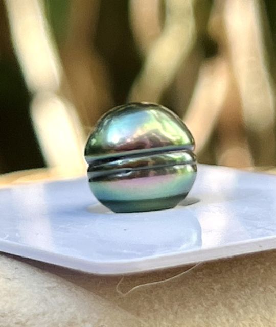 Une perle de culture de Tahiti non montée, cerclée sélection, au lustre exceptionnel (+++) et à la teinte rare vert perroquet de la famille peacock.