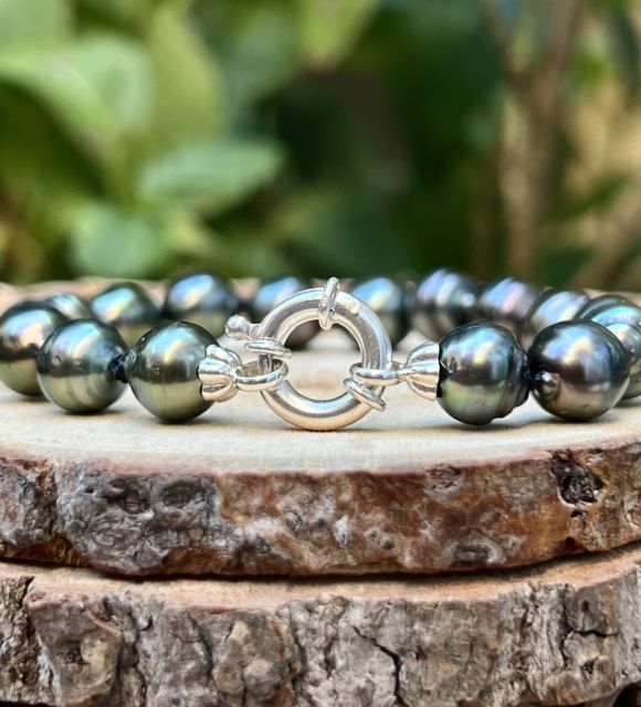 Seize perles de Tahiti cerclées, aux teintes peacock vibrantes, déploient leurs reflets verts, bleus et aubergine dans un jeu de lumière envoûtant