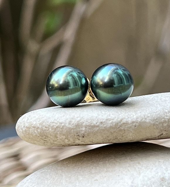 Il loro colore verde pistacchio luminoso e il loro eccellente lucentezza rivelano tutta la profondità della madreperla polinesiana.