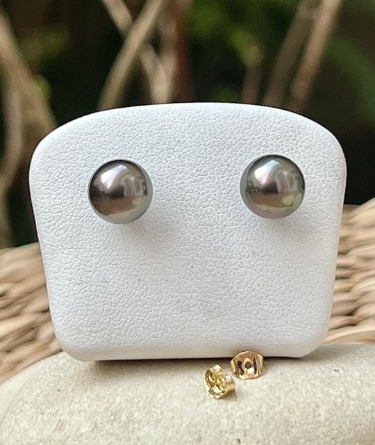 18K Gelbgold-Ohrringe verziert mit runden 8,81 mm Tahiti-Perlen, peacockfarben und mit ausgezeichnetem Glanz. Ein raffiniertes und zeitloses Duo.