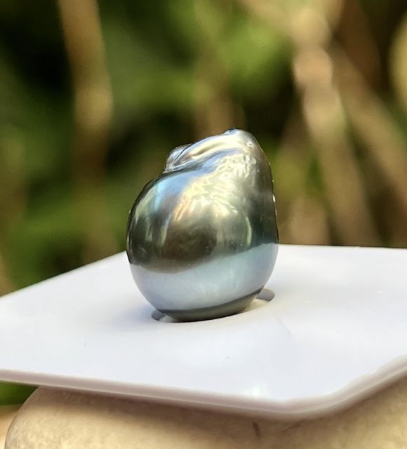 Ses trois excroissances naturelles sur le haut lui donnent une allure unique, que certains verront comme la tête d’une petite souris - livraison gratuite