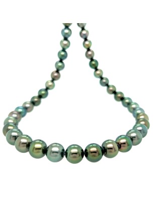 Tumu Moana - Collar Rango de Perlas de Tahití - AA