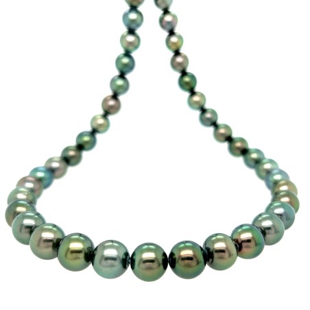 Tumu Moana - Collar Rango de Perlas de Tahití - AA