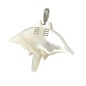 Manta Nui - White Mother of Pearl - Rhodium Silver