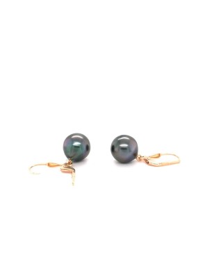 tahitian pearls earrings price