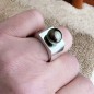 Honu - Tahitian Pearl Rhodium Silver Signet Ring
