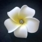 Barrette Fleur Frangipanier Perle de Tahiti Nuance Foncée