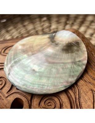 polished mother pearl Tahiti price - perla tahiti