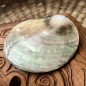 Polished Mother of Pearl - 7,10cm