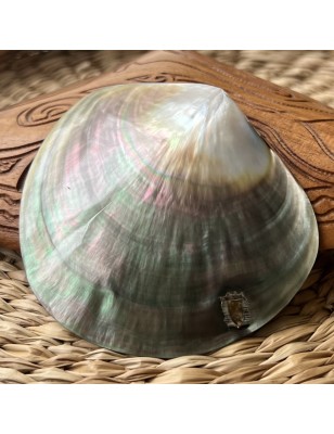 Polished Mother of Pearl - 8,90cm