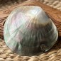 Polished Mother of Pearl - 8,90cm