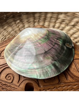 polished nacre tahiti price - perla tahiti