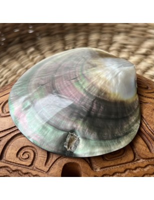 polished nacre tahiti price - perla tahiti