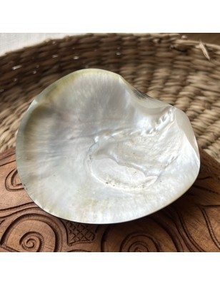 nacre polie tahiti prix - perle huitre