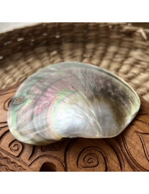 polished nacre tahiti price - perla tahiti