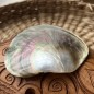 Polished Mother of Pearl - 8,90cm