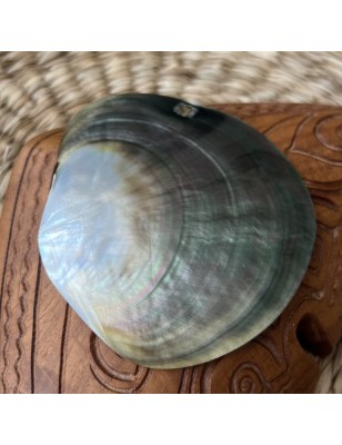 polished nacre tahiti price - perla tahiti