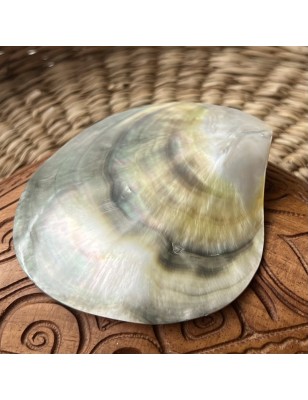 Polished Mother of Pearl - 8,60cm