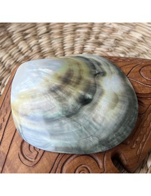polished mother pearl price - perla tahiti