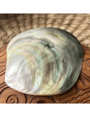 polished mother pearl price - perla tahiti