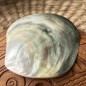 Polished Mother of Pearl - 8,60cm