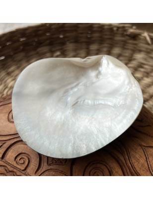 polished mother pearl price - perla tahiti