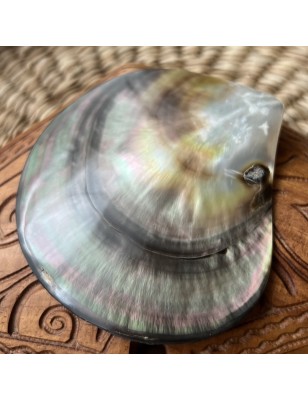 Polished Mother of Pearl - 9,00cm