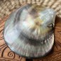 Polished Mother of Pearl - 9,00cm