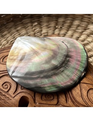 mother of pearl polished price - perla tahiti