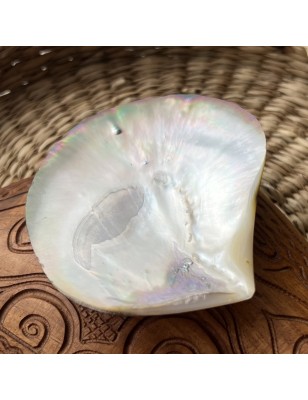 mother of pearl polished price - perla tahiti