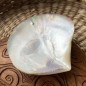 Polished Mother of Pearl - 9,00cm