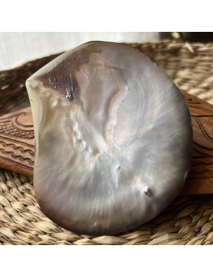 mother of pearl polished price - perla tahiti