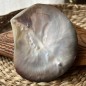 Polished Mother of Pearl - 9,00cm