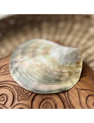 Polished Mother of Pearl - 8,80cm