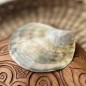 Polished Mother of Pearl - 8,80cm