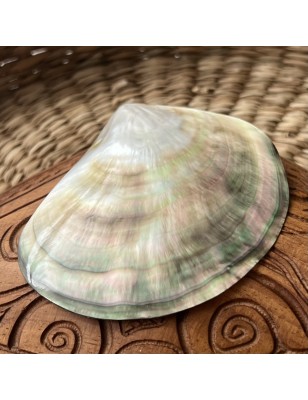 mother pearl tahiti price - perla tahiti