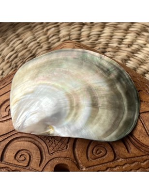 mother pearl tahiti price - perla tahiti