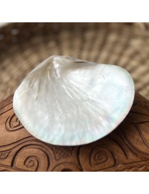 mother pearl tahiti price - perla tahiti