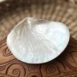 Polished Mother of Pearl - 8,80cm