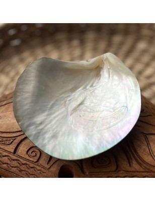 nacre tahiti polie prix - perle huitre