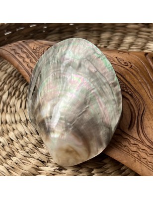 mother pearl price - perla tahiti