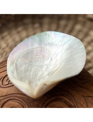nacre tahiti polie prix - perle huitre
