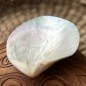 Polished Mother of Pearl - 8,50cm