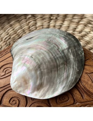 mother pearl price - perla tahiti