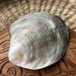 Polished Mother of Pearl - 8,50cm
