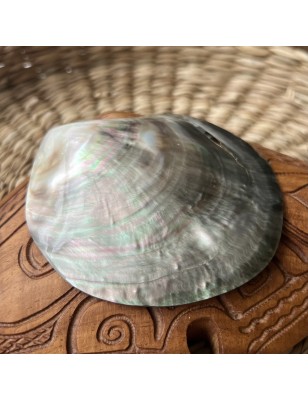 mother pearl price - perla tahiti